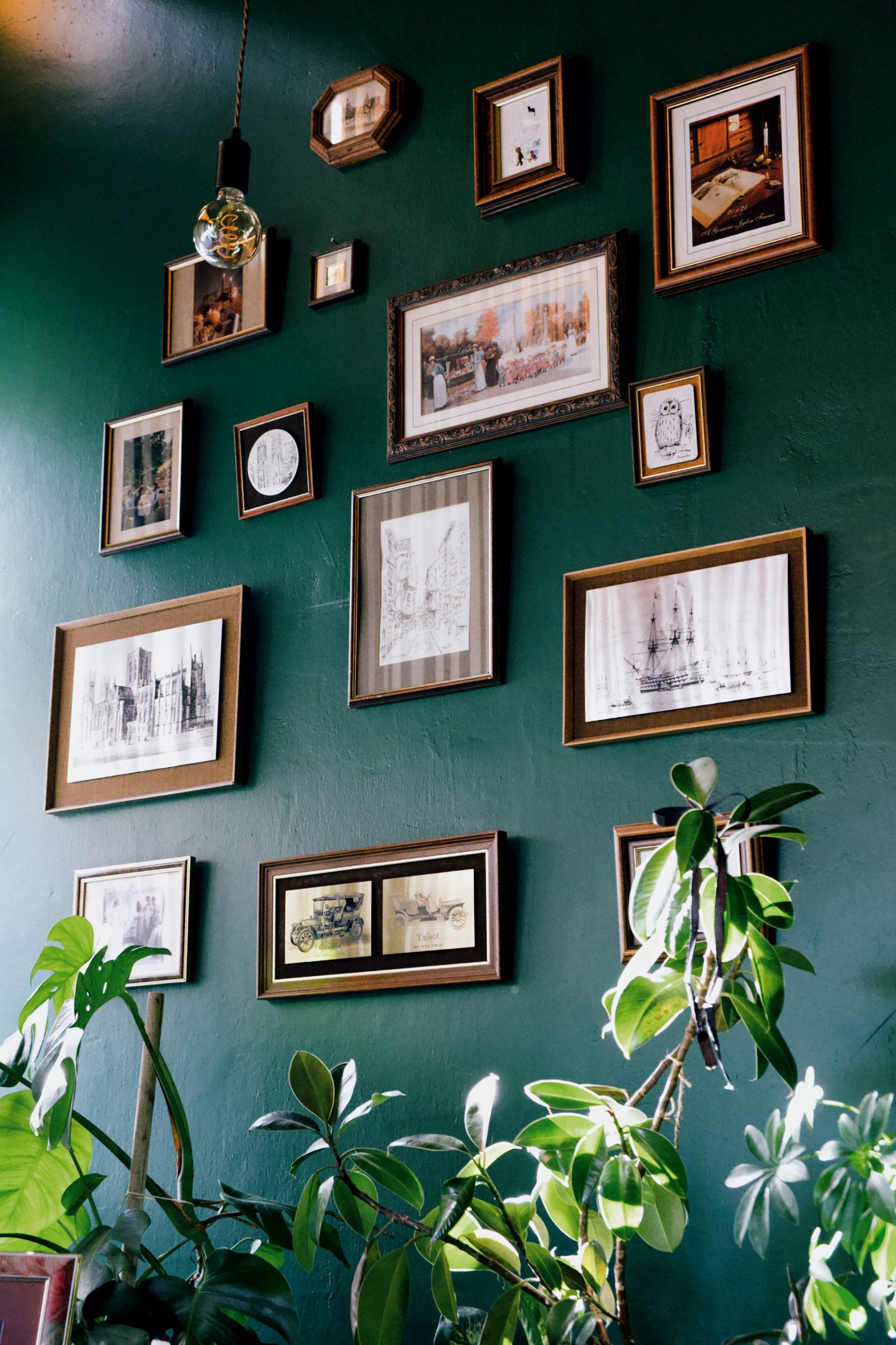 Gallery wall of vintage botanical paintings in a dark sunroom