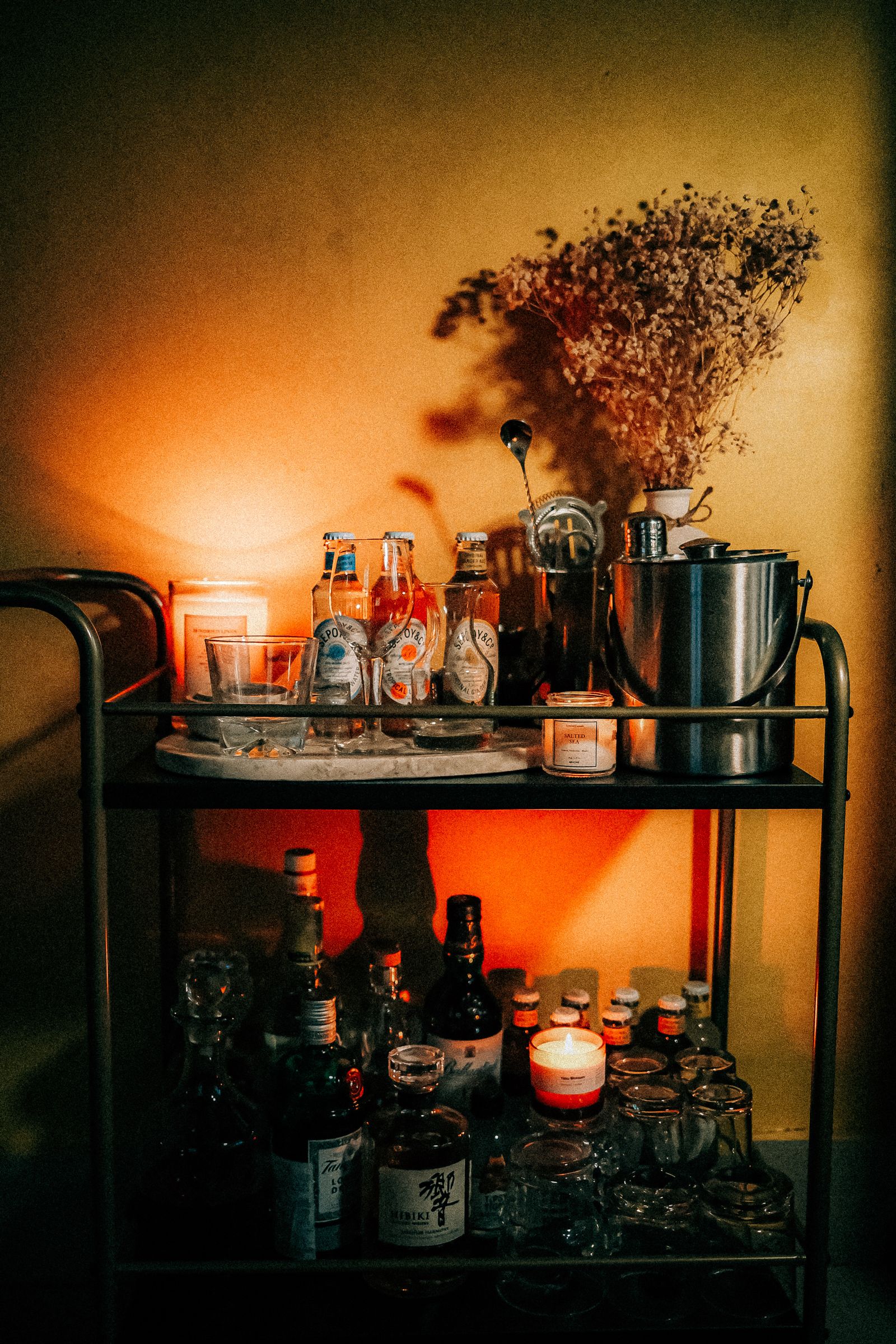 Smoked glass and brass bar cart in a dark sunroom