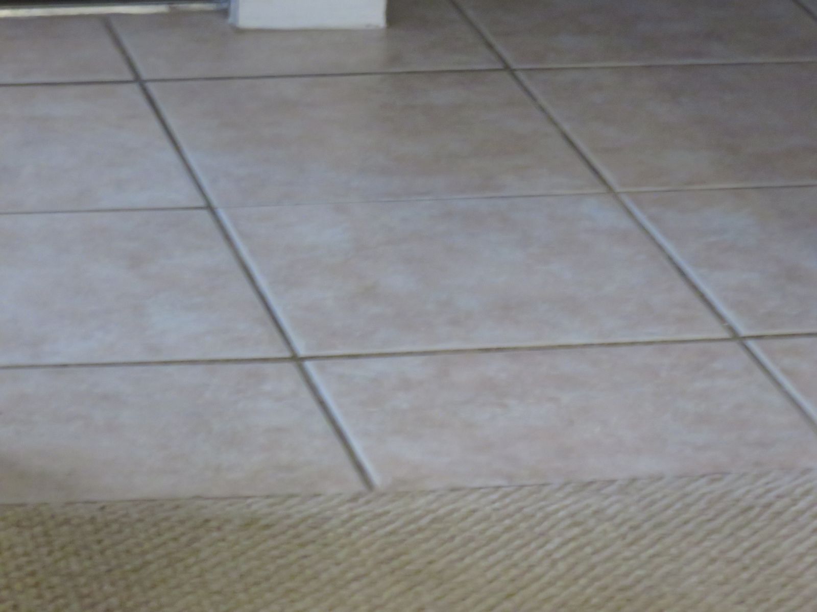 Dark terracotta flooring in a moody sunroom